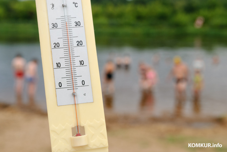Август в Бобруйске: жара +34°С, и уже опадают листья... Наш фоторепортаж