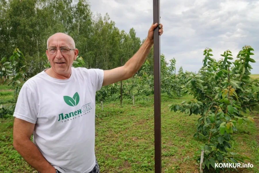 20.08.2026. Кировский район, Жиличи. Сергей Лапенок.