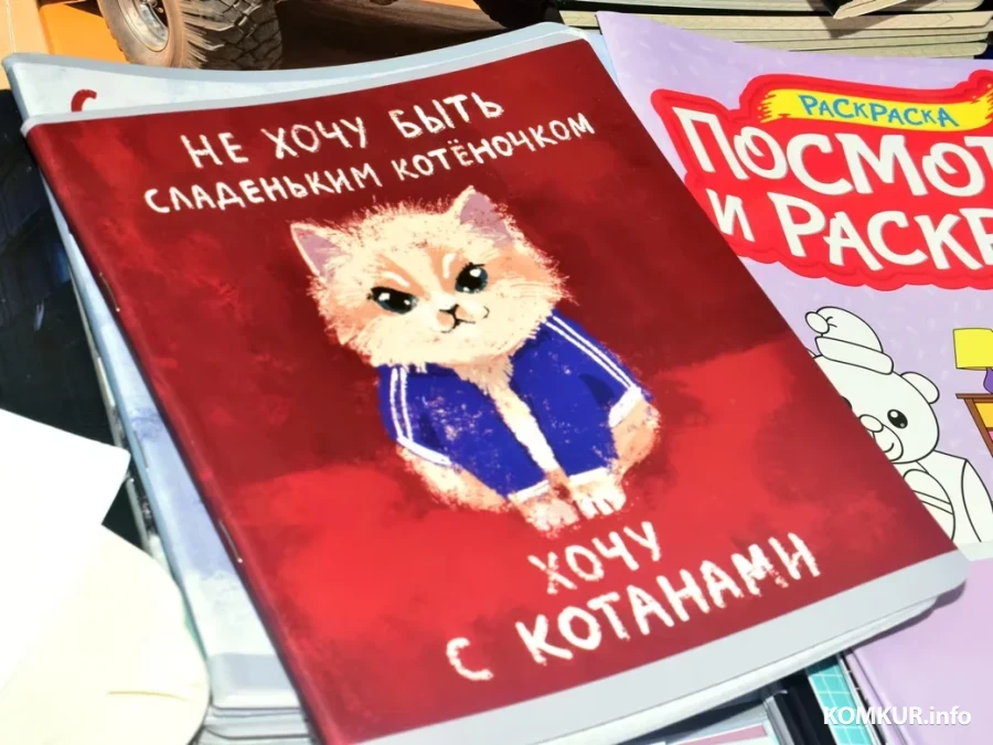 6.08.26, Бобруйский школьный базар.