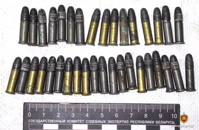 Пенсионерка хранила боеприпасы, сама того не зная: купила с ними дом