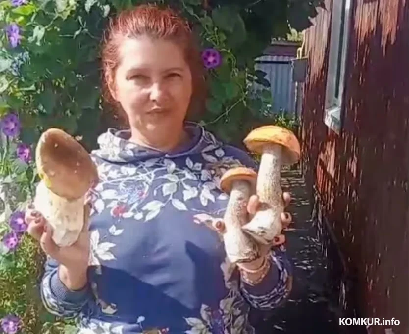 «Где были дома и улицы, вырос лес и растут рыжики». Конкурс «Тихая охота» продолжается