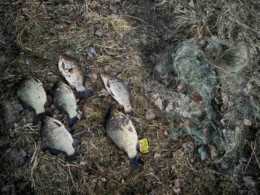 Бобруйчанину рыбалка обошлась почти в 500 рублей