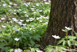 Тепло, еще теплее: о погоде в Могилевской области 14 апреля