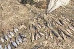 Более 5,5 тысяч за рыбалку: День смеха для жителя Бобруйского района выдался невеселым