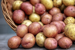 Без овощей не останемся: определены объемы поставки плодоовощной продукции для госнужд на межсезонье 2026/2027