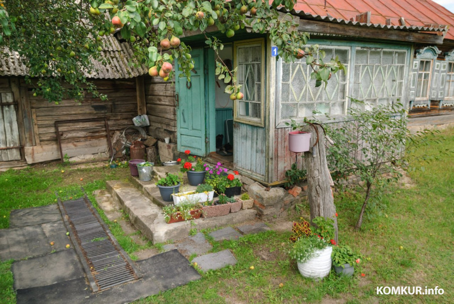 9.07.2026. Кисловщина Бобруйского района. Ольга и Александр Гамановичи организовали цветочную ферму. Фото: Александр ЧУГУЕВ. 