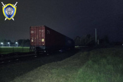 В Полоцком районе поезд наехал на пожилого мужчину, он погиб
