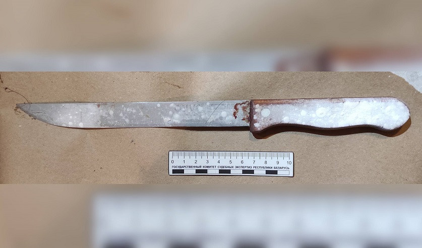 Фото: УГКСЭ по Могилевской области