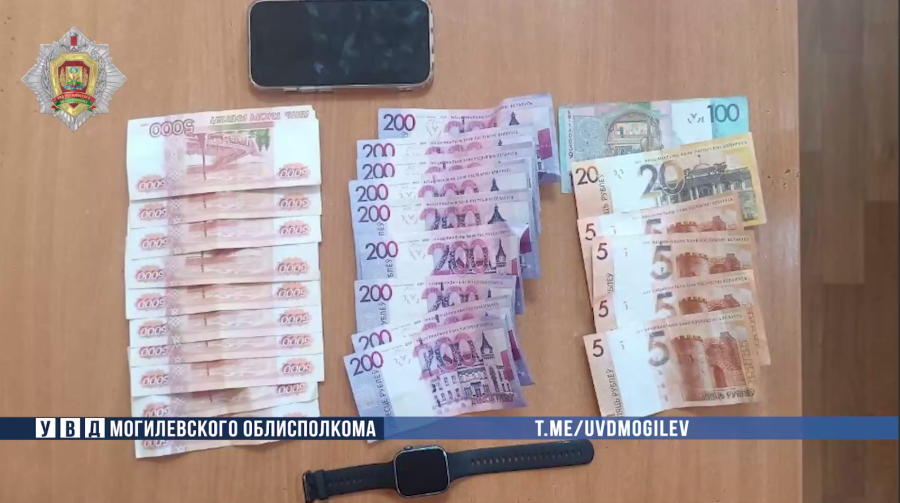 Шопинг за чужой счет: могилевчанин украл у подруги крупную сумму денег и потратил на дорогие покупки