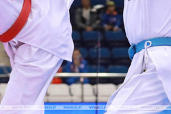 На чемпионате Европы по тхэквондо в Германии выступят 12 белорусов
