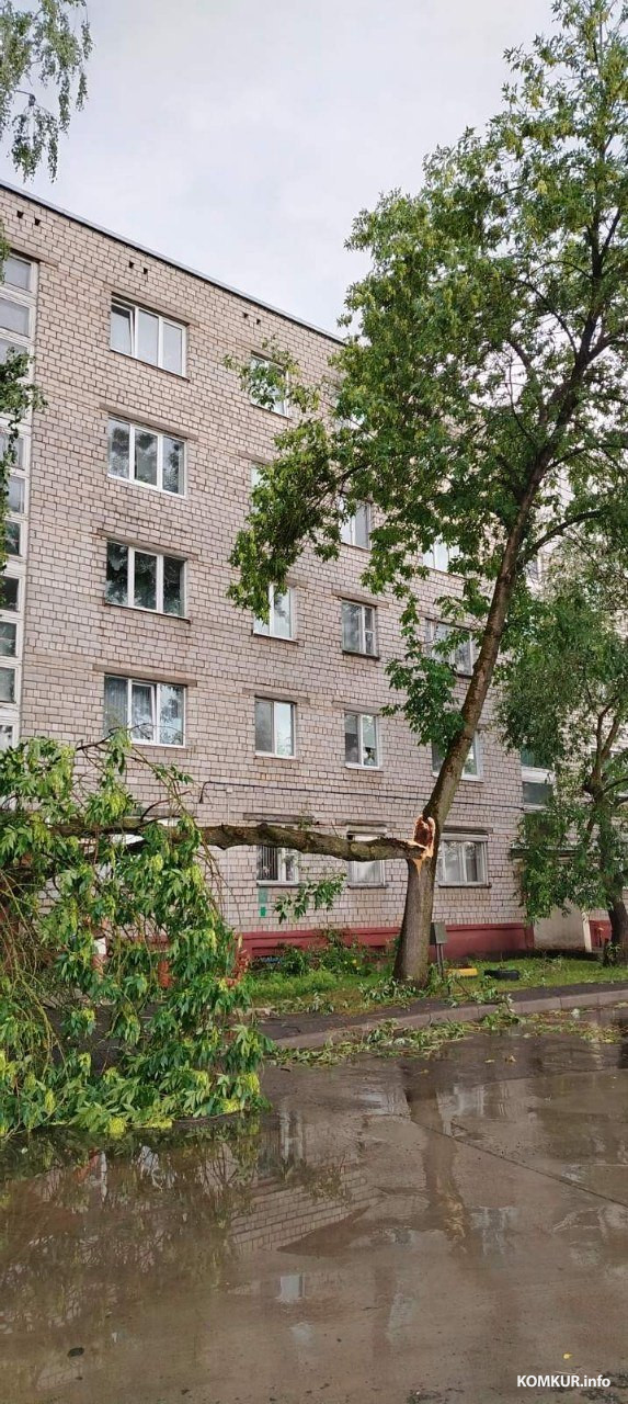 29.06.2026 г. Бобруйск