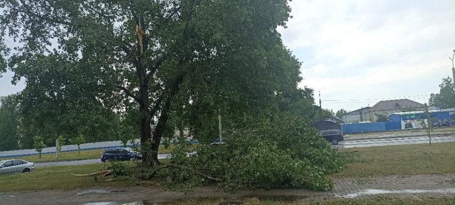 29.06.2026 г. Бобруйск