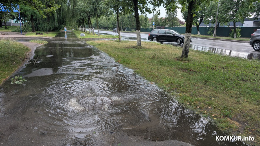 29.06.2026 г. Бобруйск