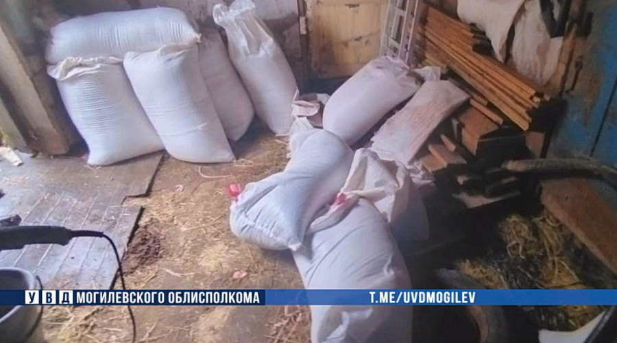 Фото: УВД Могоблисполкома