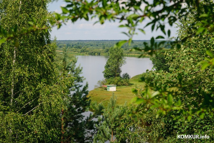 15.07.2026. Июль – макушка лета. Середина июля на Луковой горе