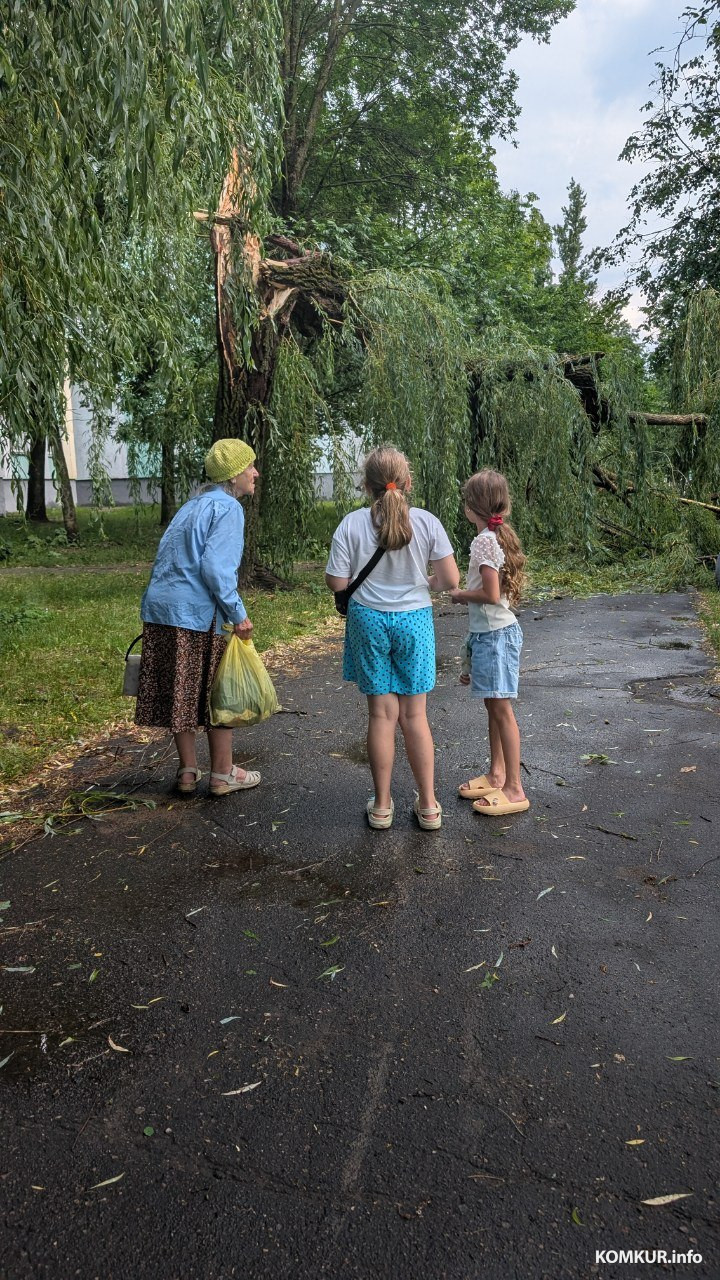 29.06.2026 г. Бобруйск