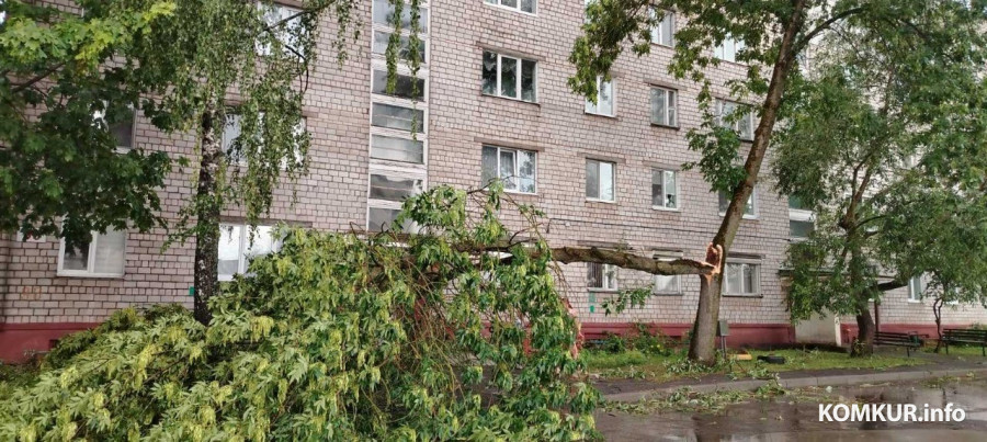29.06.2026 г. Бобруйск