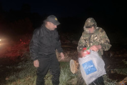 Бобруйчанин заблудился в лесу в Осиповичском районе. Его искали пять часов