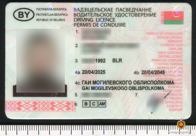 В Бобруйске сотрудники ГАИ остановили иностранца с поддельным водительским удостоверением