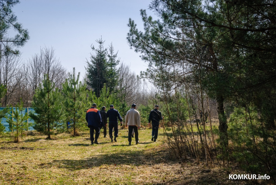 30.03.2026. Деревня Крушинка Горбацевичского сельсовета Бобруйского района. Личный состав Бобруйского РОВД и ПАСЧ-2 ГРОЧС заняты поисками пропавшего