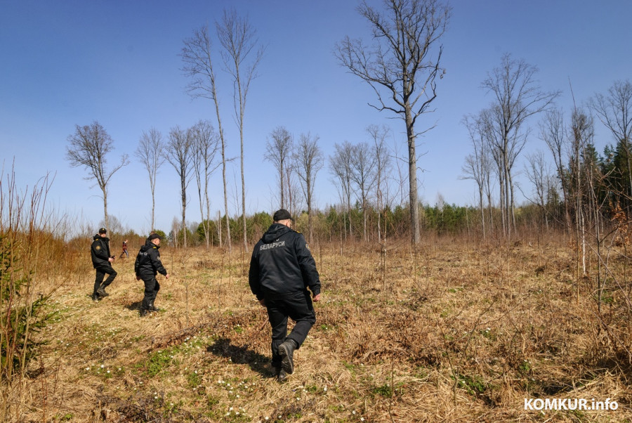 30.03.2026. Деревня Крушинка Горбацевичского сельсовета Бобруйского района. Личный состав Бобруйского РОВД и ПАСЧ-2 ГРОЧС заняты поисками пропавшего