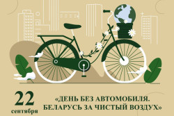 22 сентября в Бобруйске пройдет акция «День без автомобиля». О чем напоминают экологи