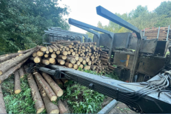 Лесовоз с дровами съехал в кювет в Шкловском районе