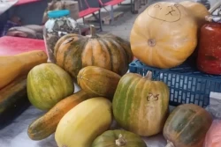 Конец октября – время клюквы и тыквы. Побывали на центральном рынке Бобруйска