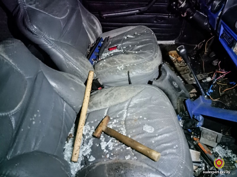 Три кражи за месяц: в Могилеве установить серийного «гаражного» вора помогли эксперты