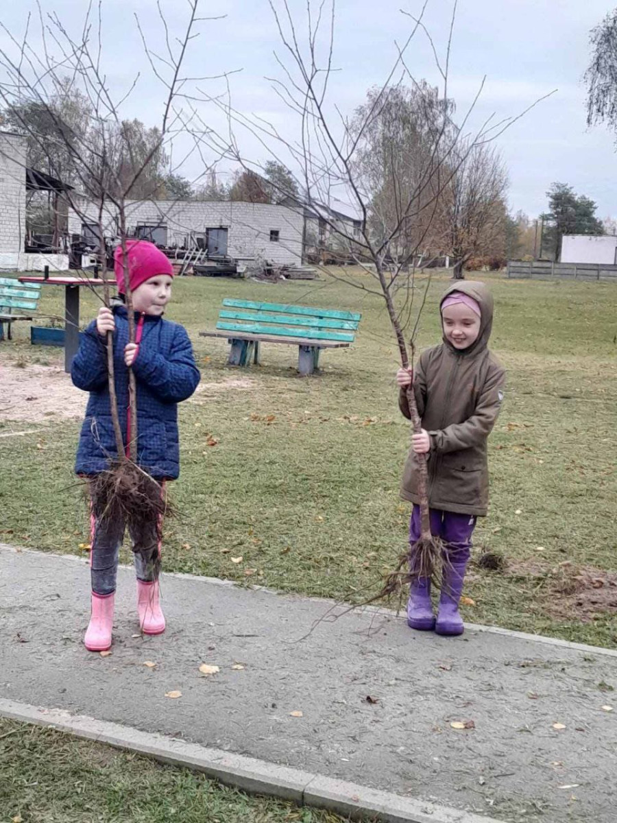 «На даче сладили завершение сезона».  Жизнь глазами бобруйчан