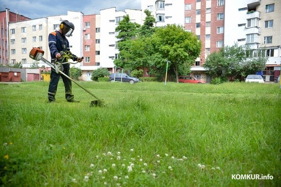 Можно ли по выходным в Беларуси косить траву? Ответили в ЖКХ