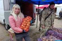 Капусты не нашли, придется солить картошку: сходили на сельхозярмарку в Могилеве, приценились, закупились