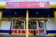 Цветочный салон «Лудизия»