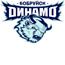Хоккейный клуб «Динамо-Бобруйск»